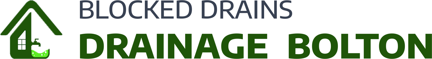 website logo